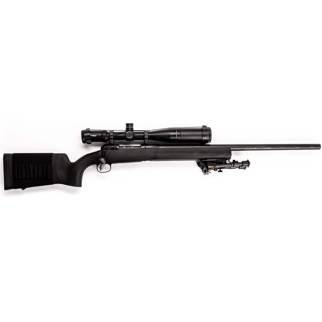 Image of SAVAGE ARMS MODEL 10